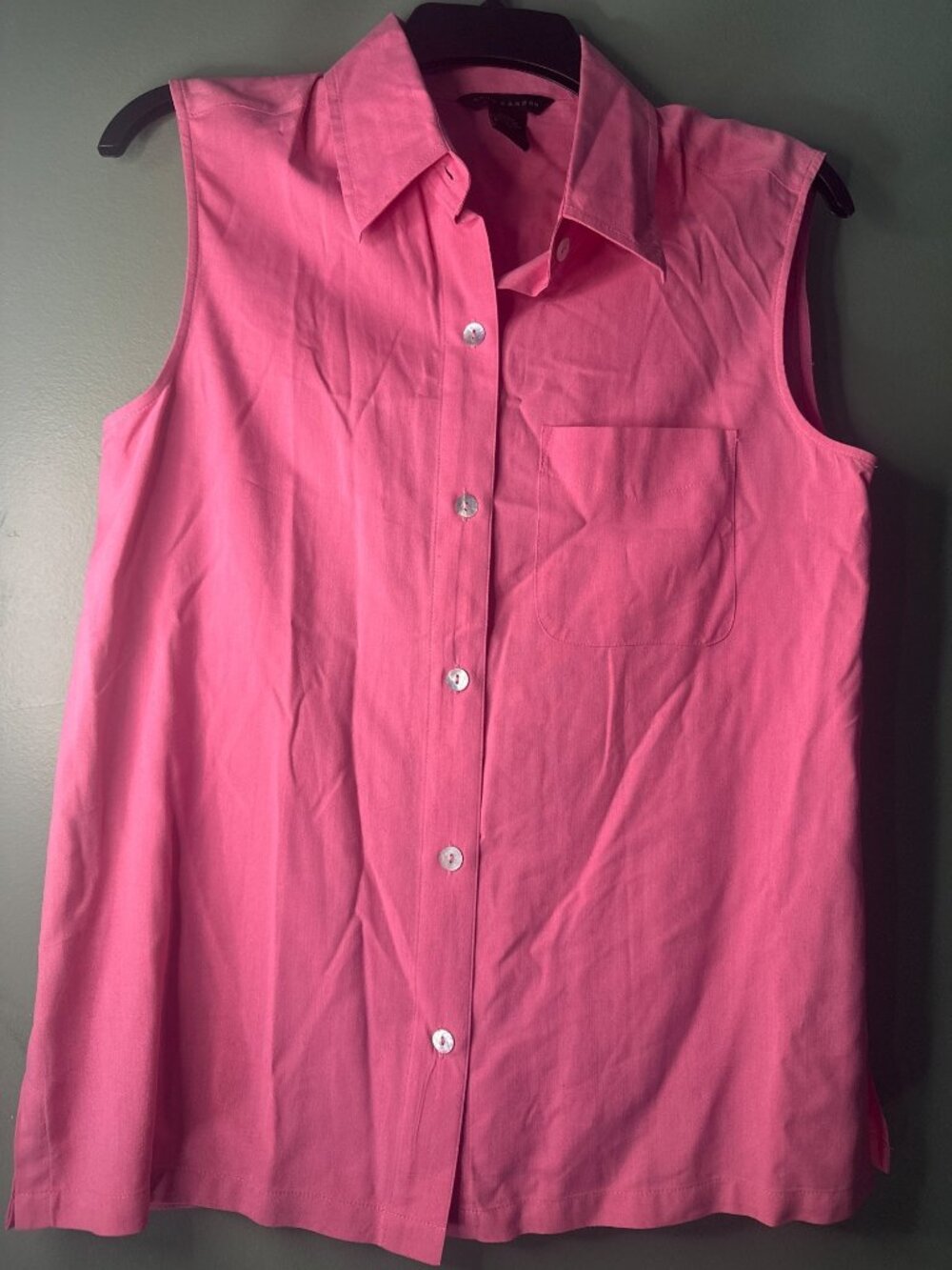 Anne Carson Women’s Small Pink Sleeveless Blouse Silk Rayon Blend Feminine Chic